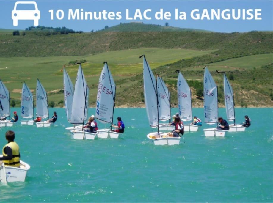 شقة Pierre Lauragaise Avignonet-de-Lauragais المظهر الخارجي الصورة